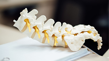 Cervical Spine